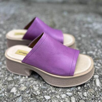 Viola